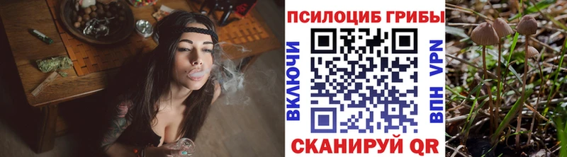 Галлюциногенные грибы MAGIC MUSHROOMS  площадка клад  Заинск  продажа наркотиков 