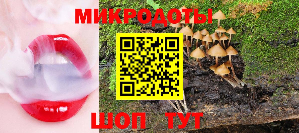 Галлюциногенные грибы мухоморы Заинск