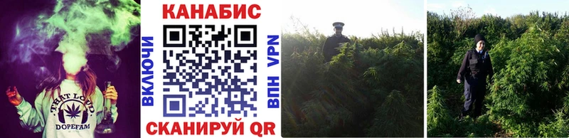 купить наркотики сайты  Заинск  hydra сайт  МАРИХУАНА Amnesia 